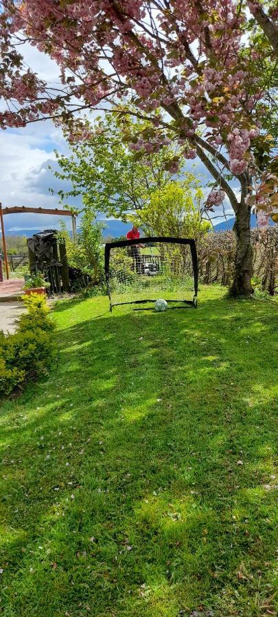 Annaswood B&B Cahir Zewnętrze zdjęcie