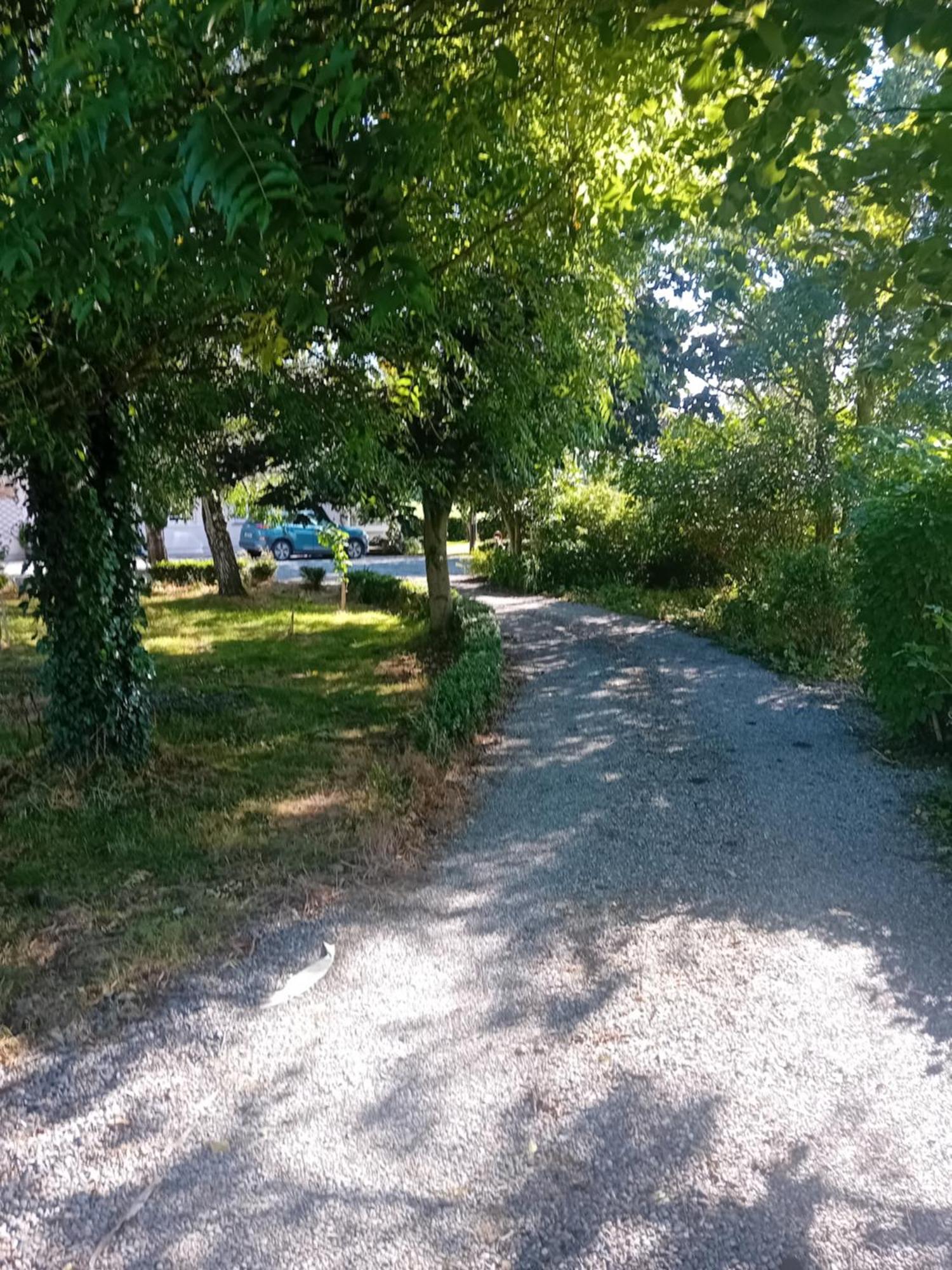 Annaswood B&B Cahir Zewnętrze zdjęcie
