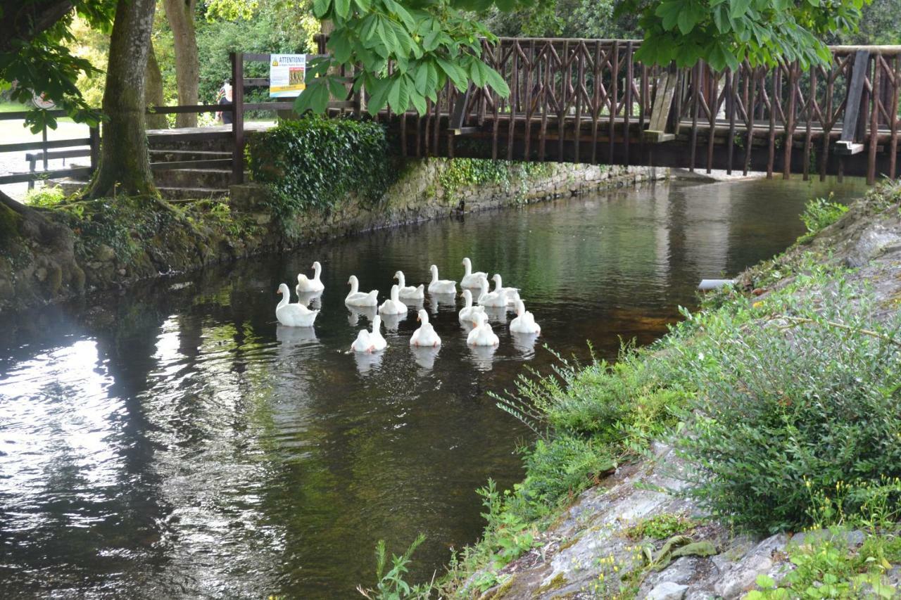 Annaswood B&B Cahir Zewnętrze zdjęcie
